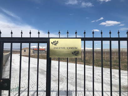 Defne Tarım kapak görseli