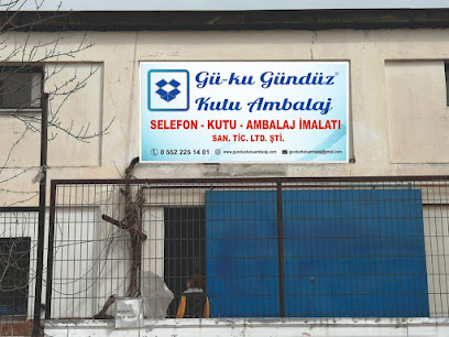 GÜNDÜZ KUTU AMBALAJ İMALATI kapak görseli