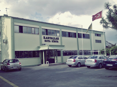 KARTALLAR BOYA VE KİMYA SAN.TİC. kapak görseli