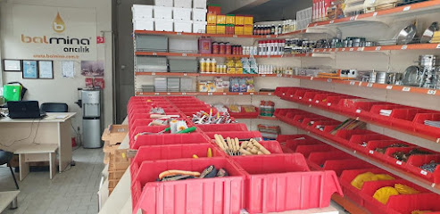 Balmina Arıcılık Edirne kapak görseli