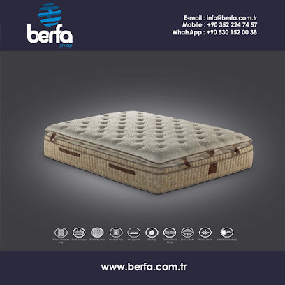 Berfa Group İç ve Dış Ticaret Ltd. Şti. kapak görseli