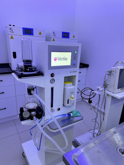 Vetie Sağlık Teknoloji ve Ekipmanları kapak görseli