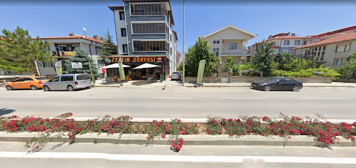 Zeytin Deryası kapak görseli