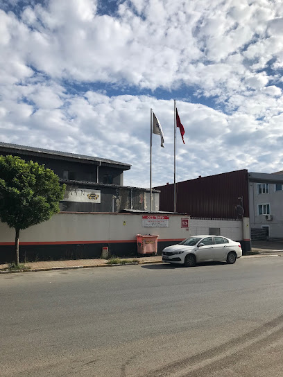 Taşdemir Savunma kapak görseli