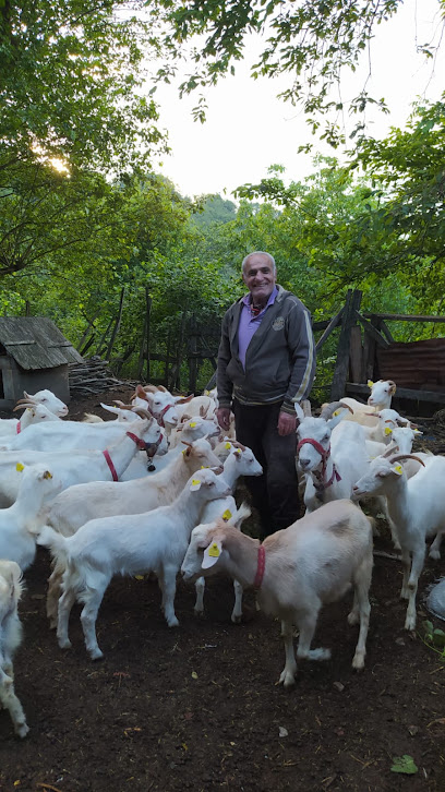 Sunay Hanım Keçi Çiftliği kapak görseli