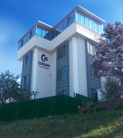 Çokesen Elektronik San. Tic. Ltd. Şti. kapak görseli