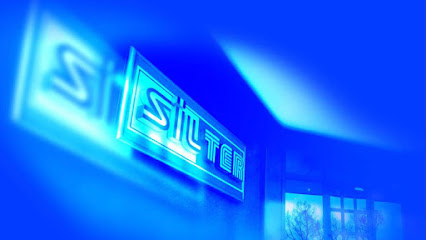 SiLTER İleri Ütüleme Sistemleri San. ve Tic. Ltd. Şti. kapak görseli