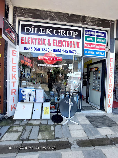 DİLEK ELEKTRİK ELEKTRONİK EMLAK GROUP kapak görseli