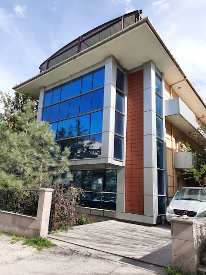 Pulsar Kimya Sanayi ve Ticaret A.Ş. kapak görseli