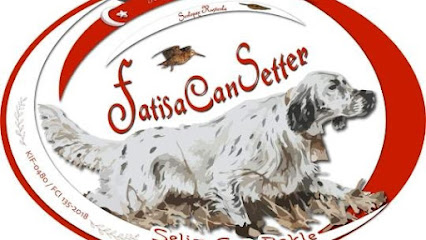 Tr.Fatisacansetter kapak görseli