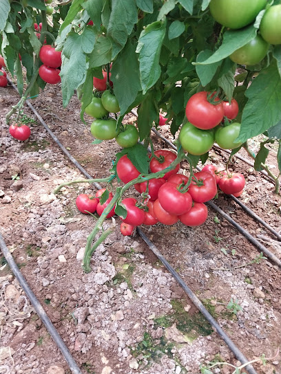 Karaca Tarım kapak görseli