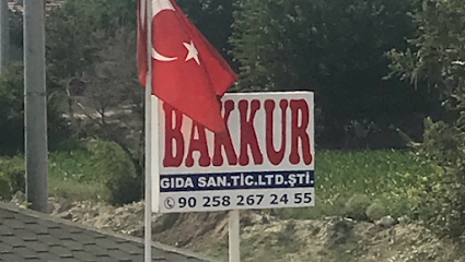 Bakkur Gıda Sanayi ve Ticaret ltd.Şti. kapak görseli