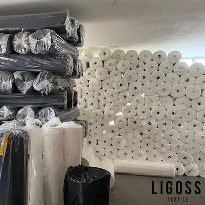Ligoss kapak görseli