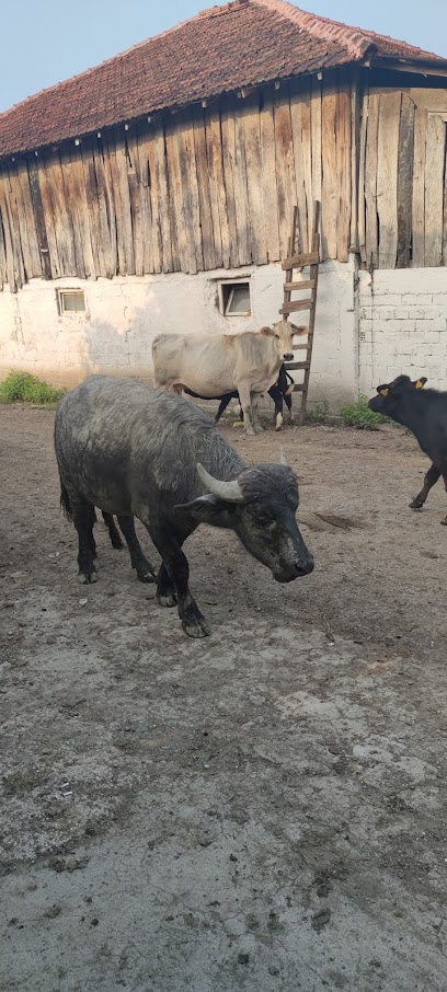 Yamukoğulları Besi Çiftliği kapak görseli