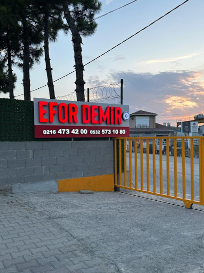 EFOR DEMİR kapak görseli