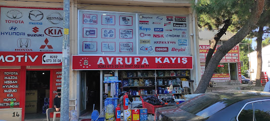AVRUPA KAYIŞ CİVATA kapak görseli