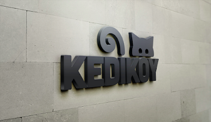 Kediköy kapak görseli