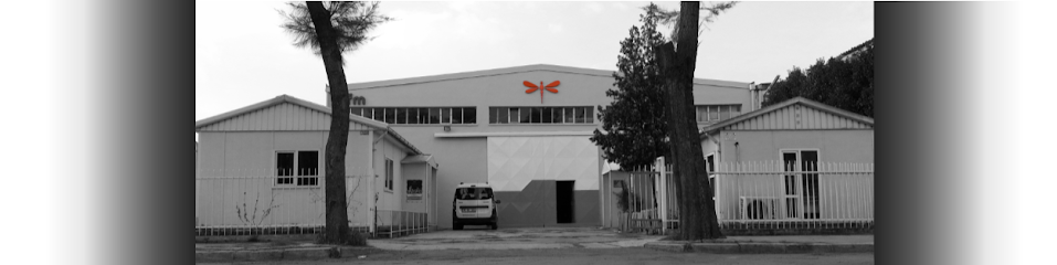 BFM Makina Otomasyon kapak görseli
