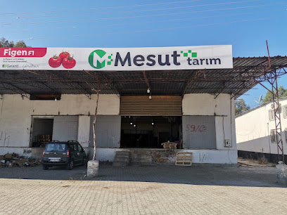 MESUT TARIM kapak görseli