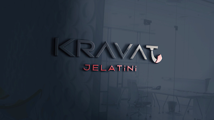 Kravat Jelatini kapak görseli