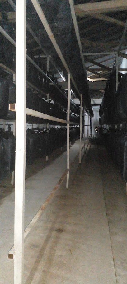 ÇETİNLER İSTİRİDYE MANTARI VE KOMPOST ÜRETIM ÇİFTLİĞI kapak görseli