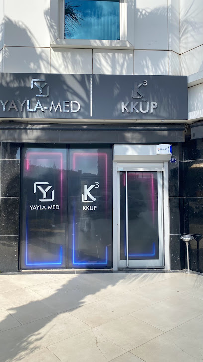 YAYLA-MED TIBBİ CİHAZLAR MEDİKAL VE TEK.ÜRÜN.TİC.LTD.ŞTİ. kapak görseli