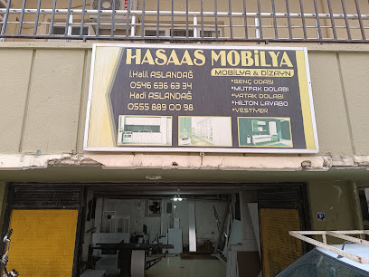HASSAS MOBİLYA kapak görseli
