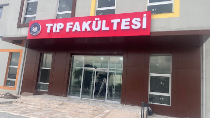 İdol Otomatik Kapı kapak görseli