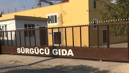 Sürgücü Gıda kapak görseli