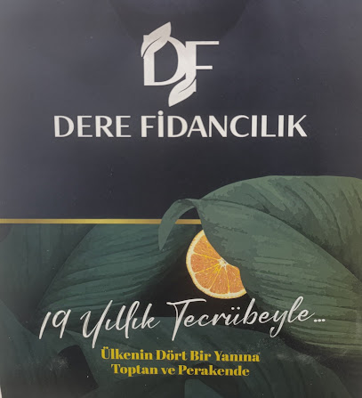Dere Fidancılık kapak görseli