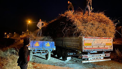 Erkmen Meyve Fidanı Üreticiler Birliği kapak görseli