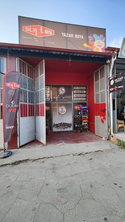 Yazar Boya Sintaş Soma kapak görseli