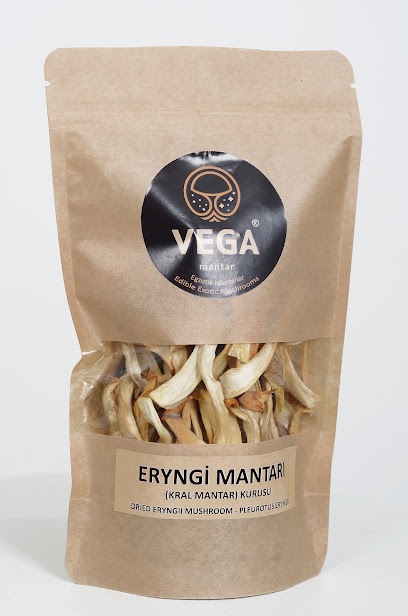 Vega Mantar kapak görseli