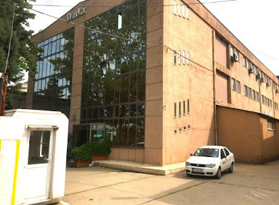 DİZDAR TEKSTİL kapak görseli