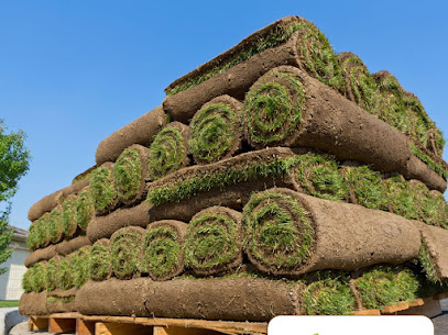 ROLL GRASS kapak görseli