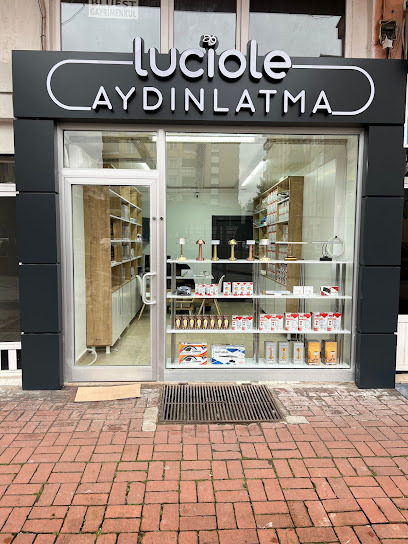Luciole Aydınlatma kapak görseli