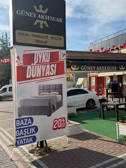 UYKU DÜNYASI Güney Mobilya kapak görseli