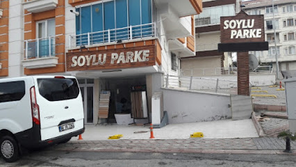 SOYLU PARKE Fahri SOYLU kapak görseli