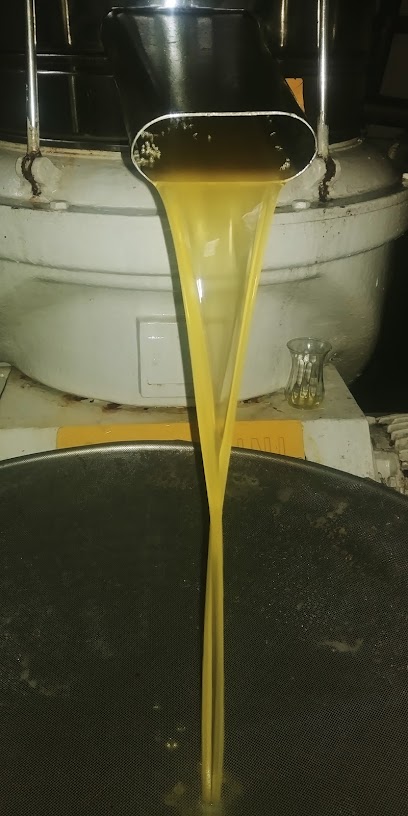 Kafkas Zeytinyagi kapak görseli