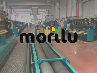 Morilu kapak görseli