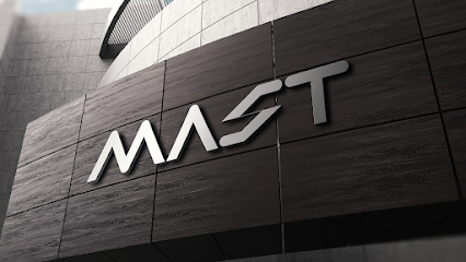 MAST ASANSÖR SAN. VE TİC. LTD. ŞTİ. kapak görseli