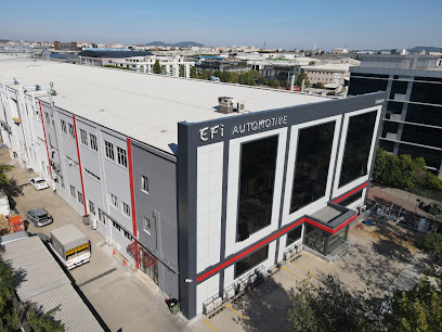 Efi Automotive Türkiye kapak görseli