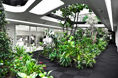 Seluz Fragrances & Flavors Company kapak görseli
