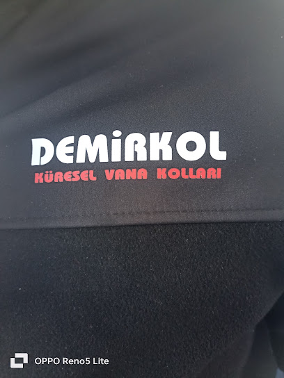 DEMİRKOL KİMYA METAL SAN.TİC. kapak görseli