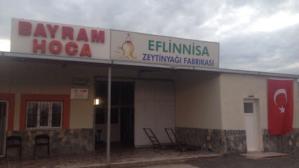 Bayram Hoca Zeytinyağı Fabrikası kapak görseli