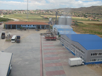 EMEKCİOĞLU TUZ kapak görseli