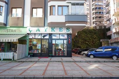 Çaykes Makine kapak görseli