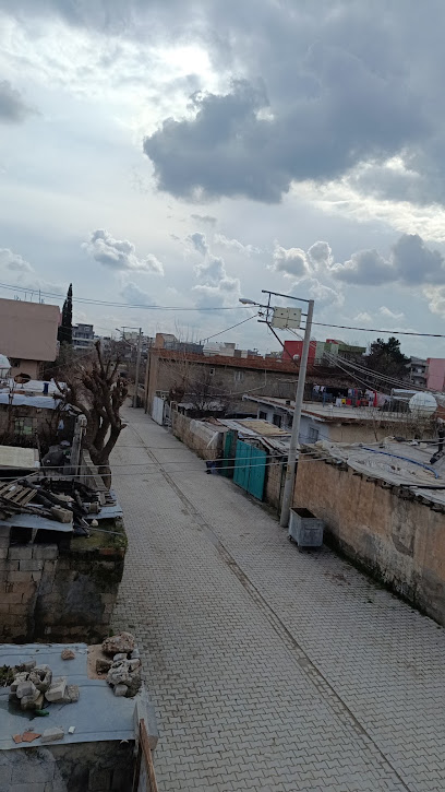 BAŞKAN APT kapak görseli