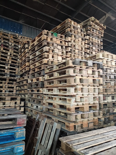 Temel Ağca Ağca Palet Geri Dönüşüm kapak görseli