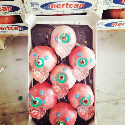 Mertcan Tarim Urunleri kapak görseli